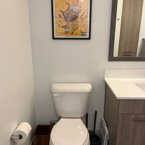 Did a great job hanging a picture above my toilet.