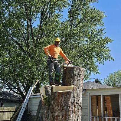 Avatar for Contreras Tree Services and fences