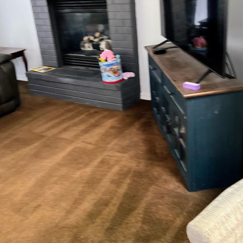 Carpet Cleaning