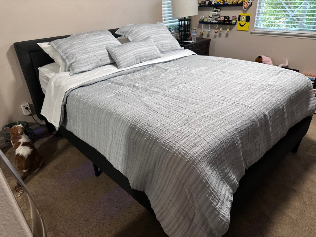 Customer photos