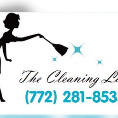 Avatar for The cleaning lady