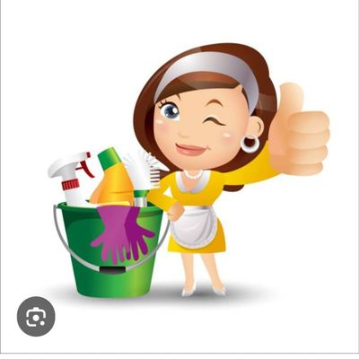 Avatar for shiny place cleaning service