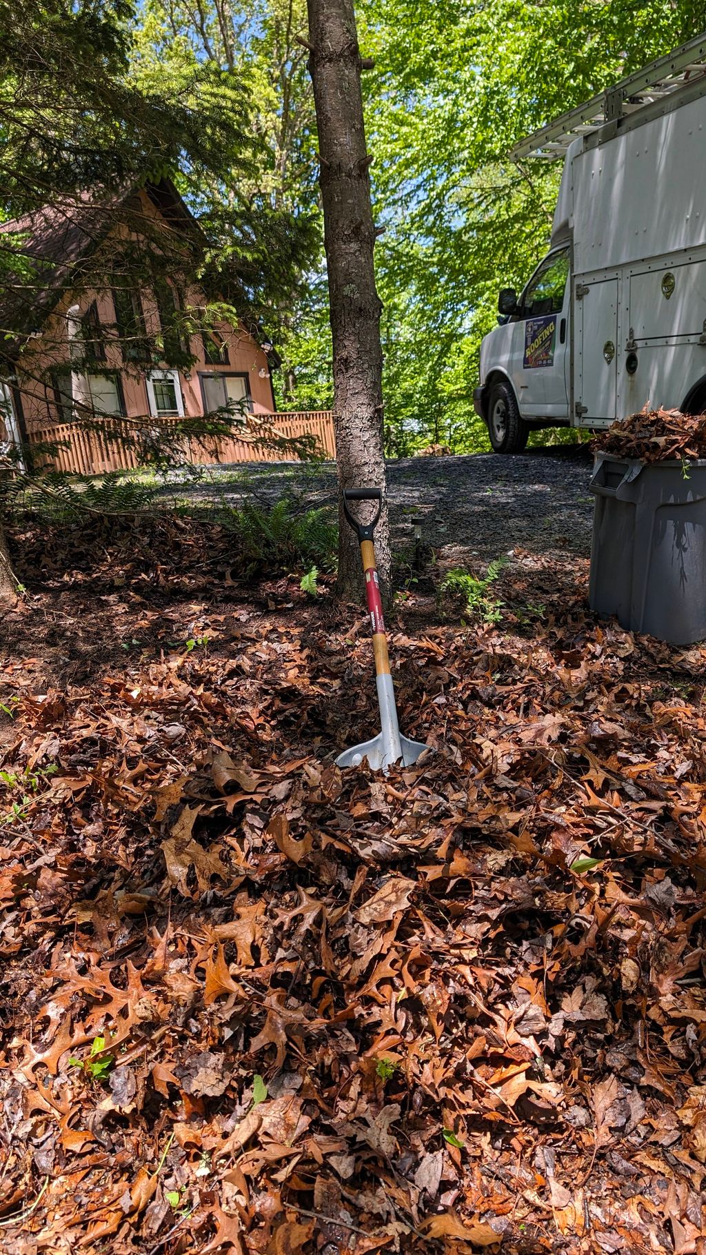 before collecting the leaves