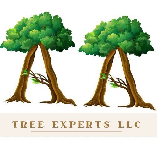 A & A Tree Experts LLC Profile Picture