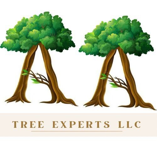 A & A Tree Experts LLC