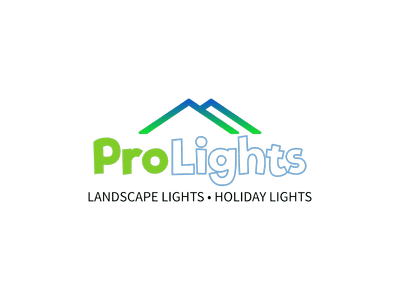 Avatar for Pro Lights