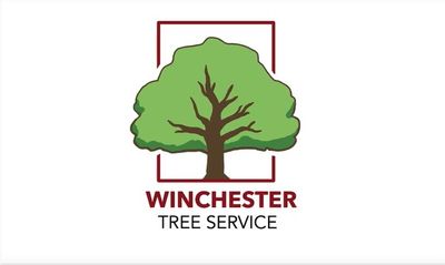 Avatar for Terry Malcolm Winchester Tree Service LLC