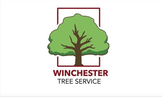 Terry Malcolm Winchester Tree Service LLC