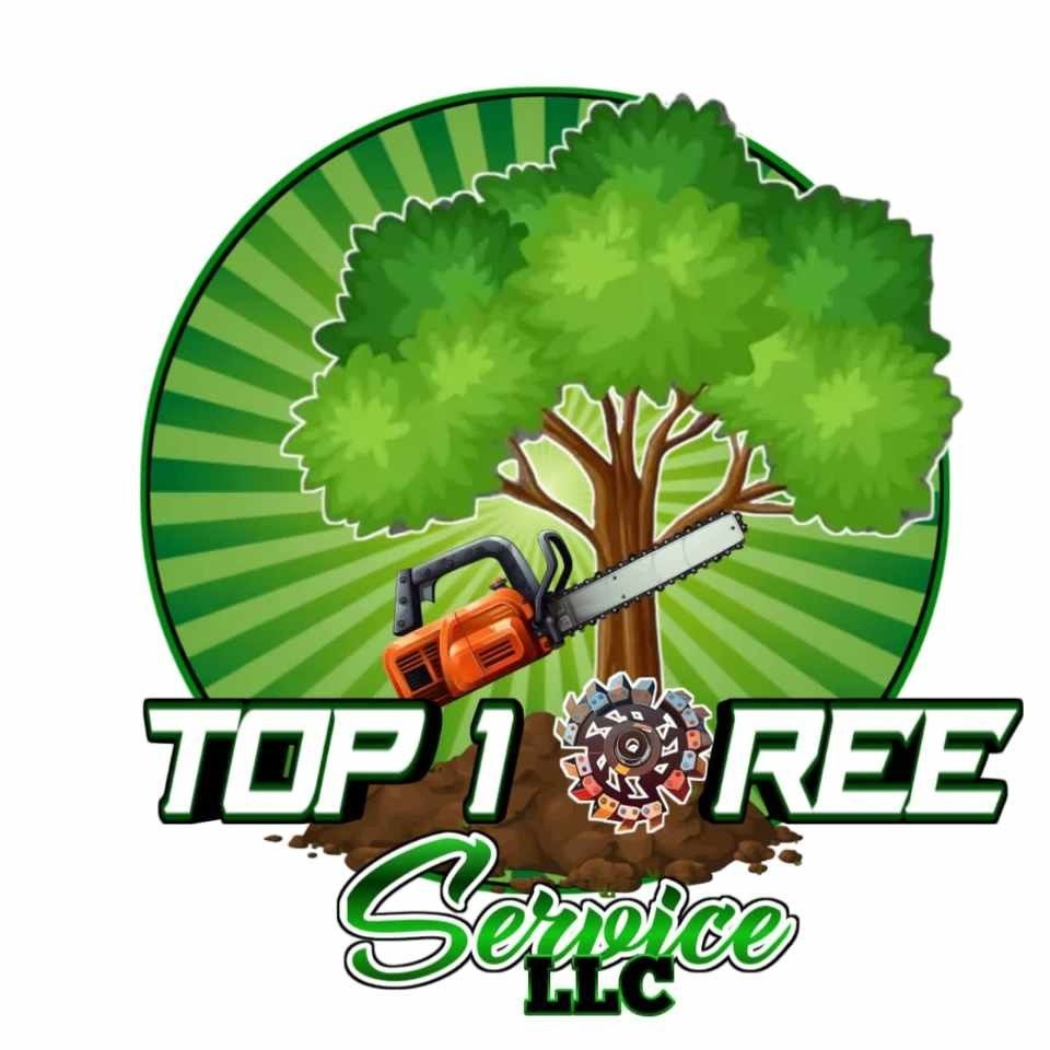Top 1 Tree Service