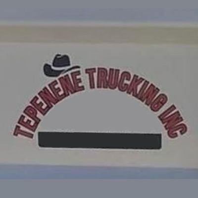 Avatar for Tepenene Trucking Demolition