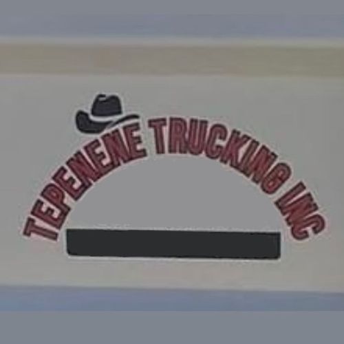 Tepenene Trucking Demolition