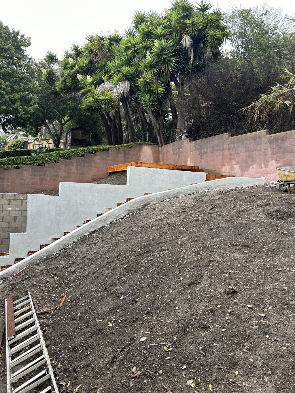 Projects and media
