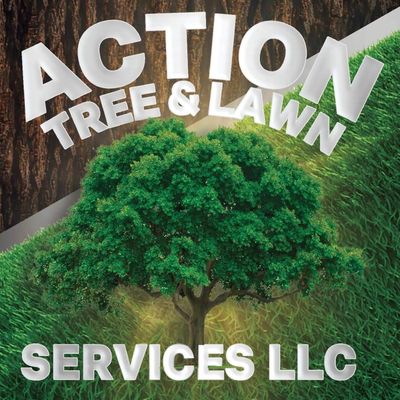 Avatar for ACTION LAWN & TREE SERVICE