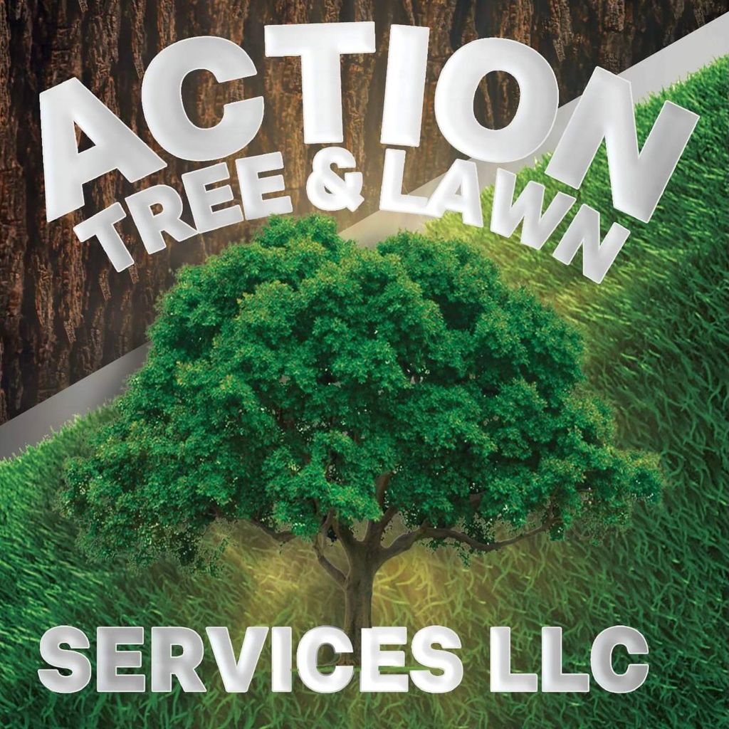 ACTION LAWN & TREE SERVICE