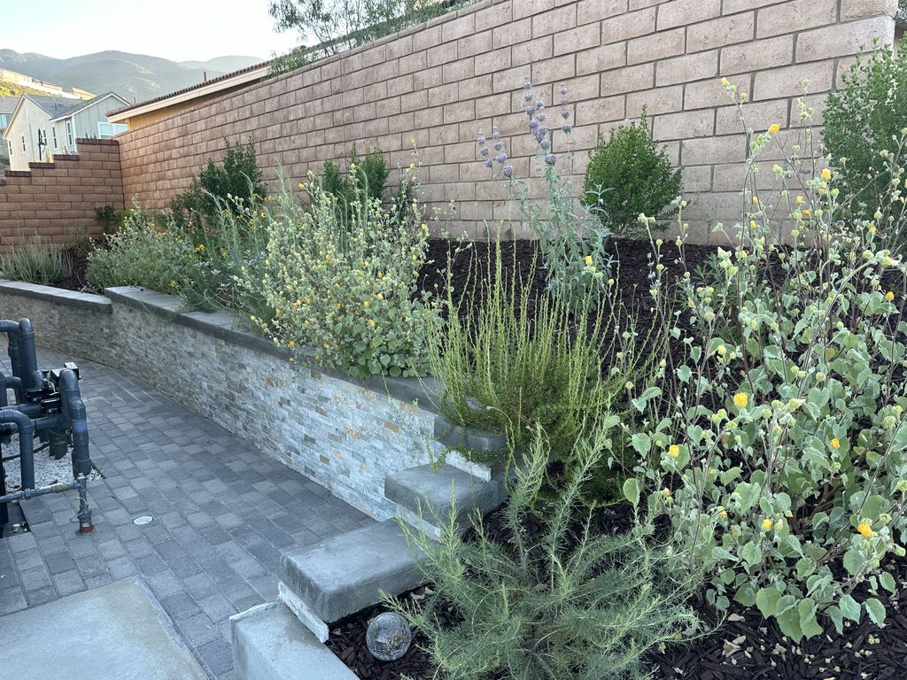 Native Garden, 9 months post installation