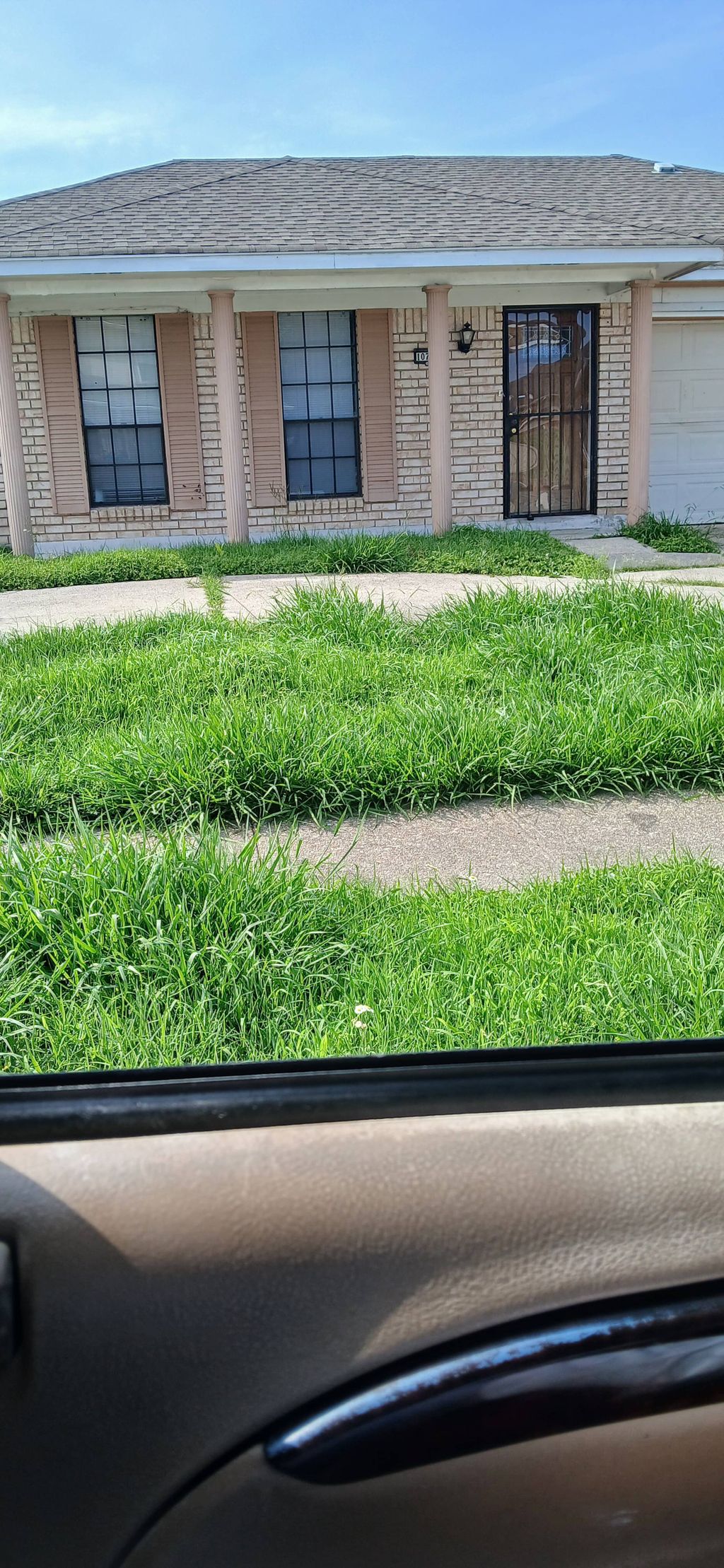 high grass 