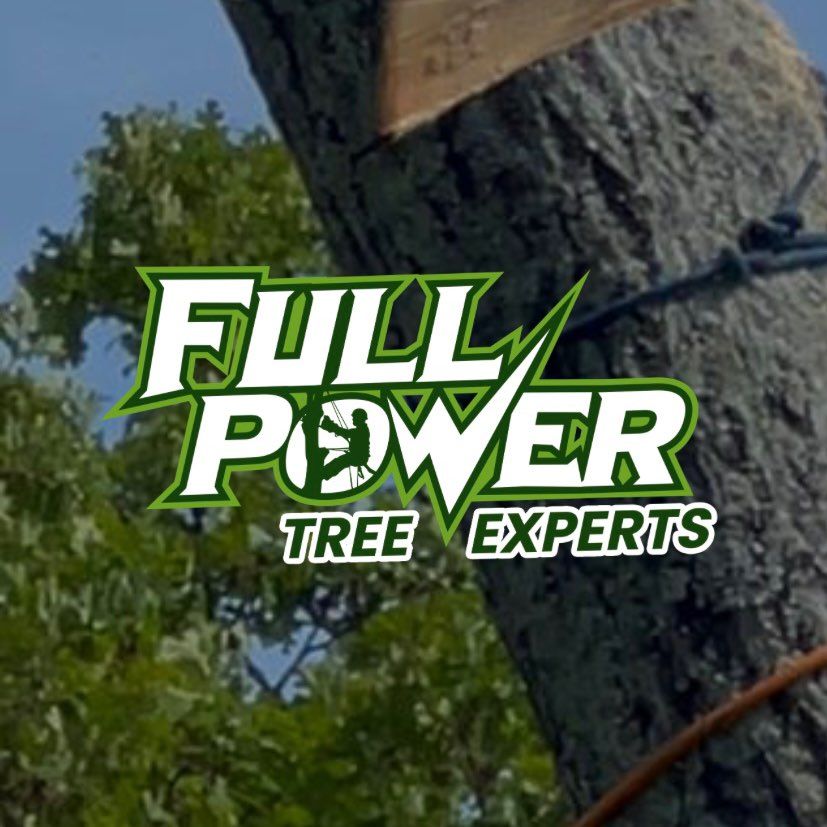 Full power tree experts