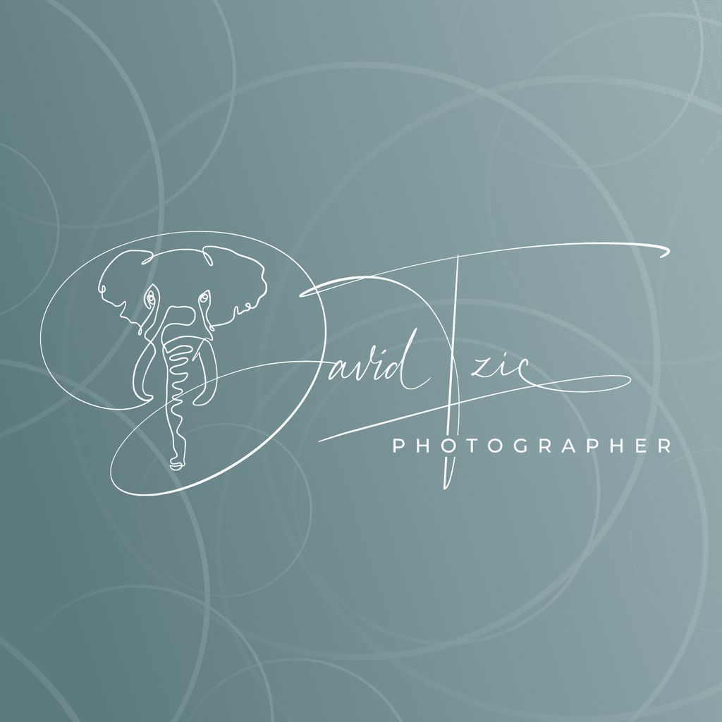 Elephant Serene Portraits