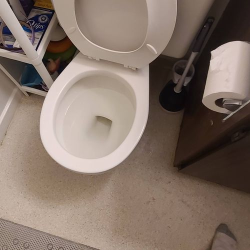 toilet after