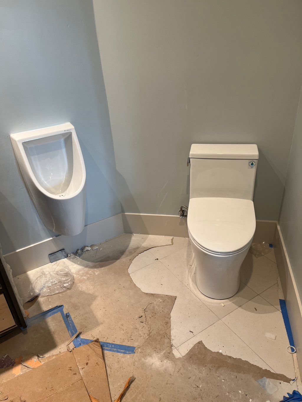 Urinal and toilet for custom home remodel