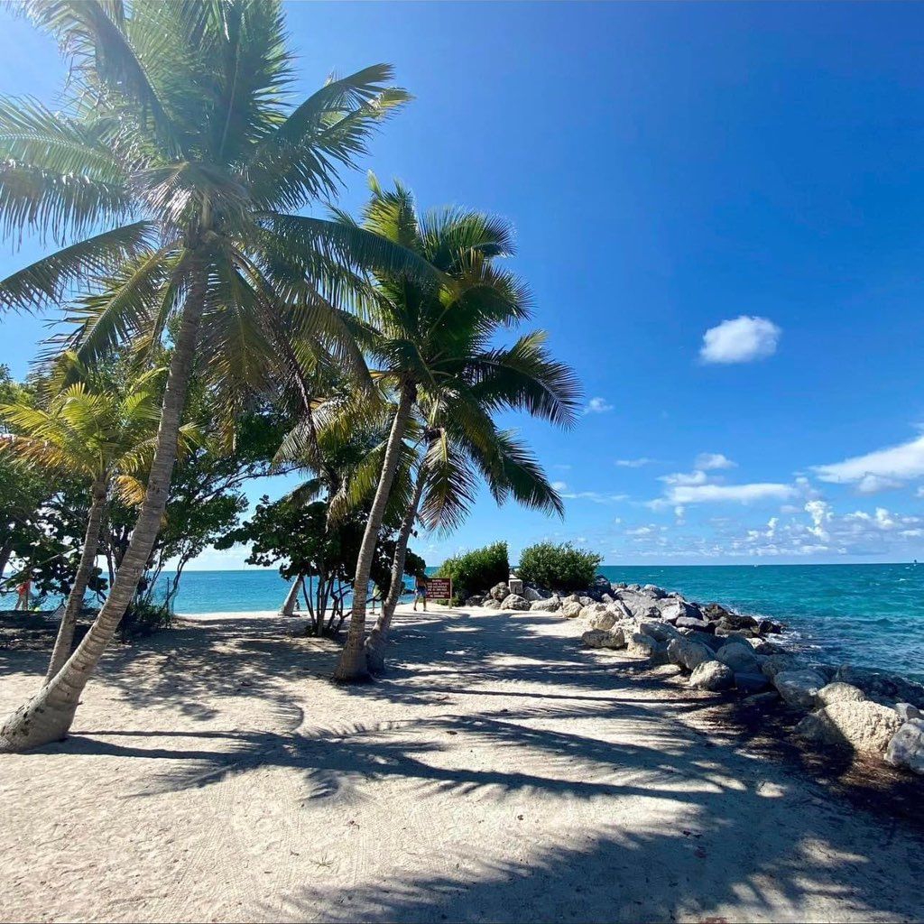 Palm Paradise Moving