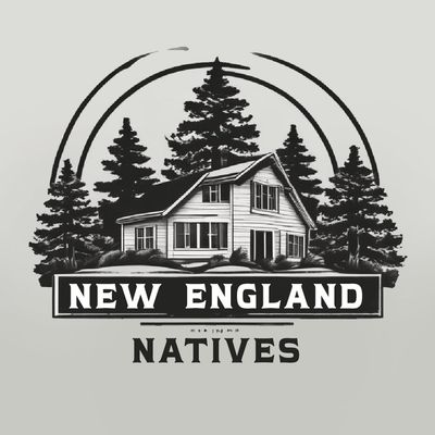 Avatar for New England Natives