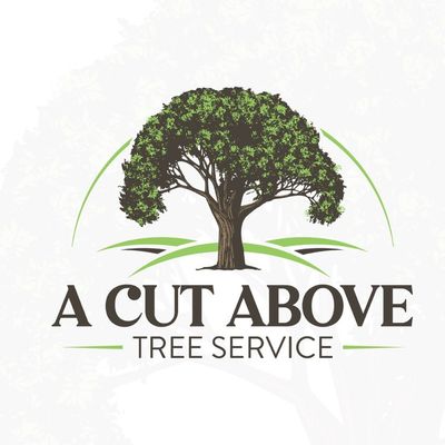 Avatar for A Cut Above Tree Service