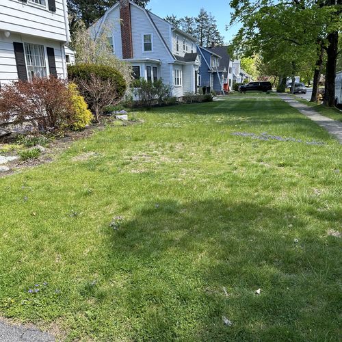 Lawn Mowing and Trimming