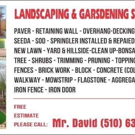 David Landscaping