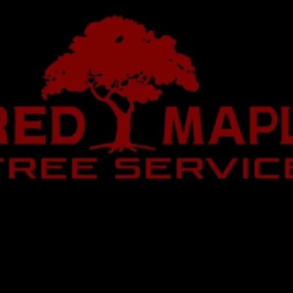 Red Maple tree service