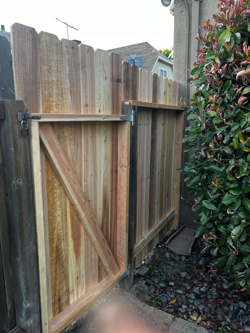 Customer photos