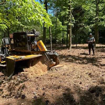 Avatar for Progrind Stump removal llc