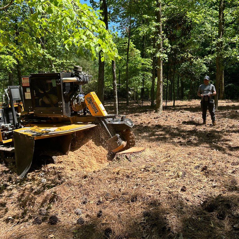 Progrind Stump removal llc