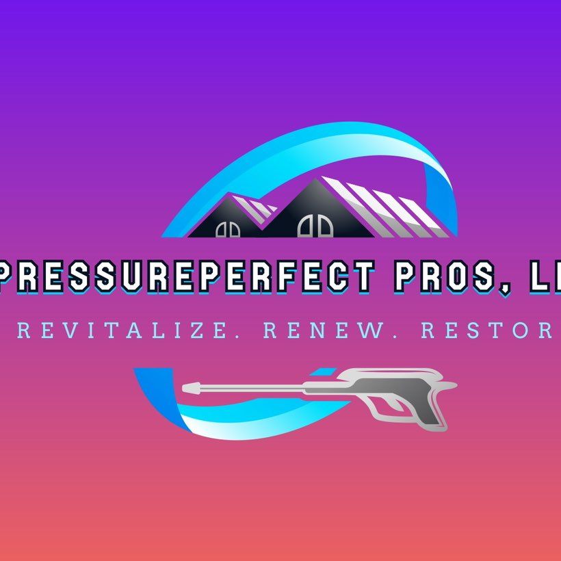 PressurePerfect Pros, LLC