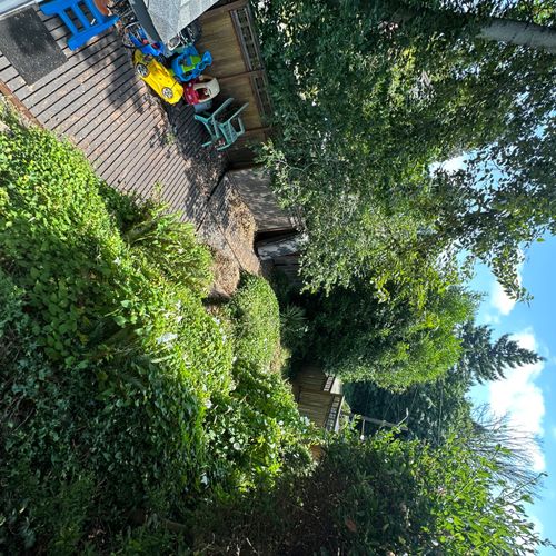 Finding and having Blue Sky transform our yard was