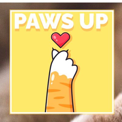 Avatar for Paws Up
