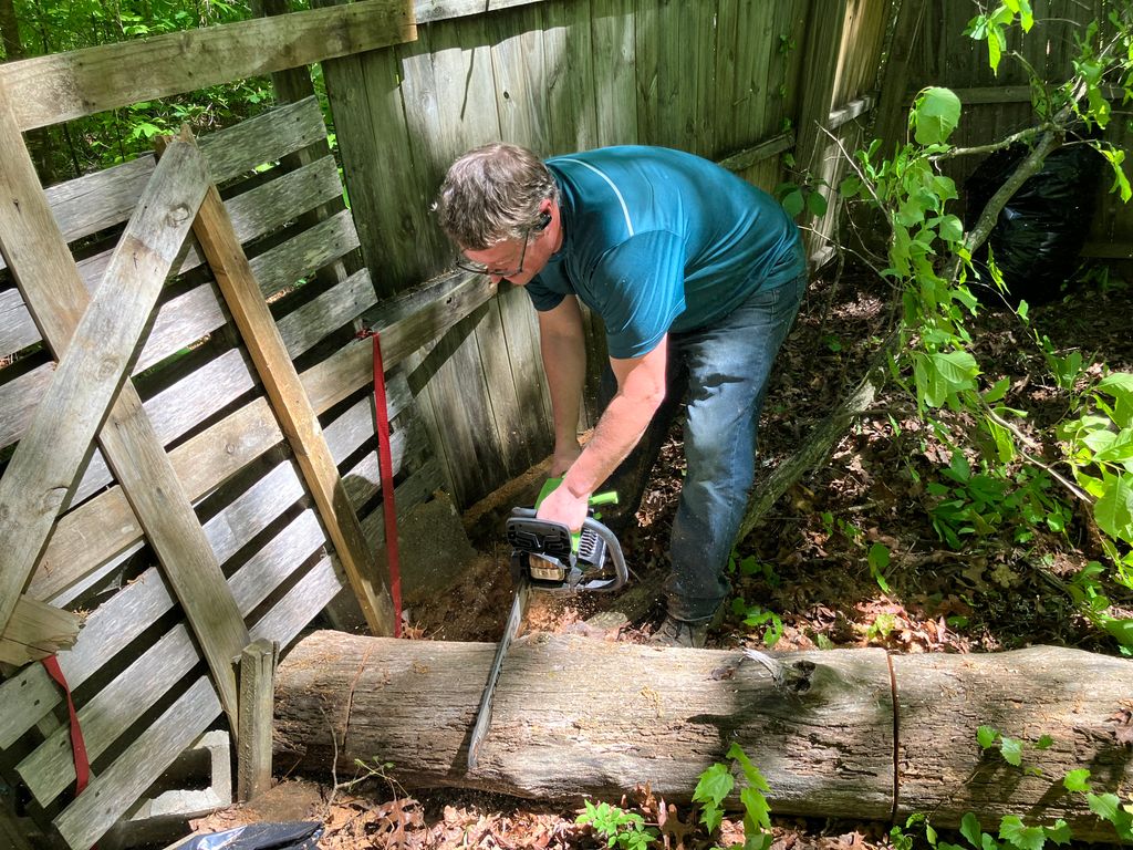 Fallen tree removal