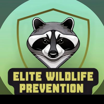 Avatar for ELITE WILDLIFE PREVENTION