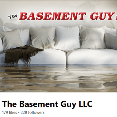 Avatar for The Perfect Basement