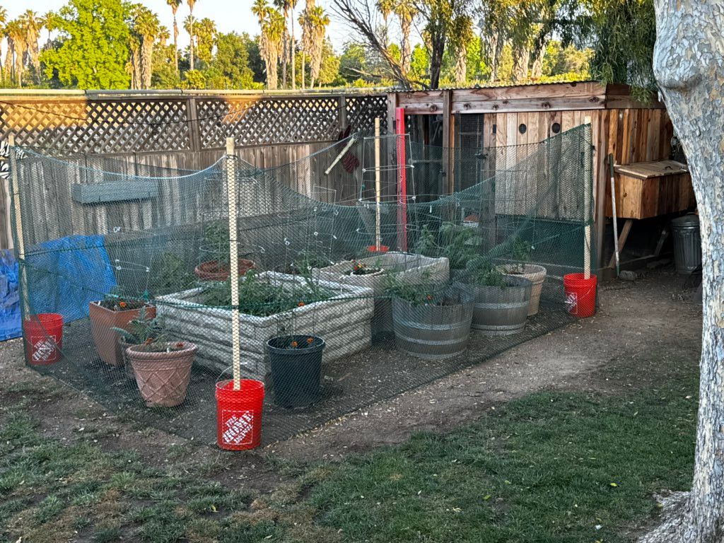 Customer photos