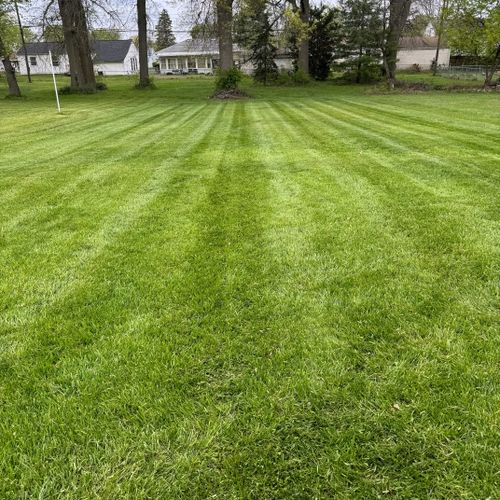 Lawn Mowing and Trimming