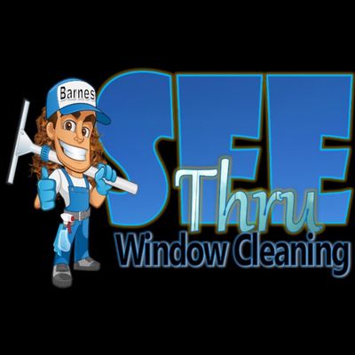 Avatar for See through window cleaning