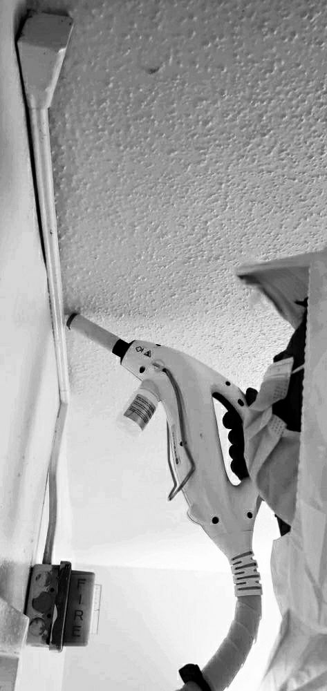 Bedbug Elimination in Progress...