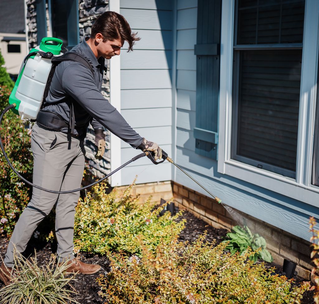 Effective barriers keep the bugs out of your home 