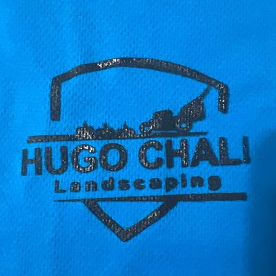 Avatar for Hugo chali mowing