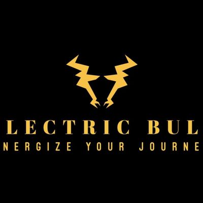 Avatar for Electric Bull LLC