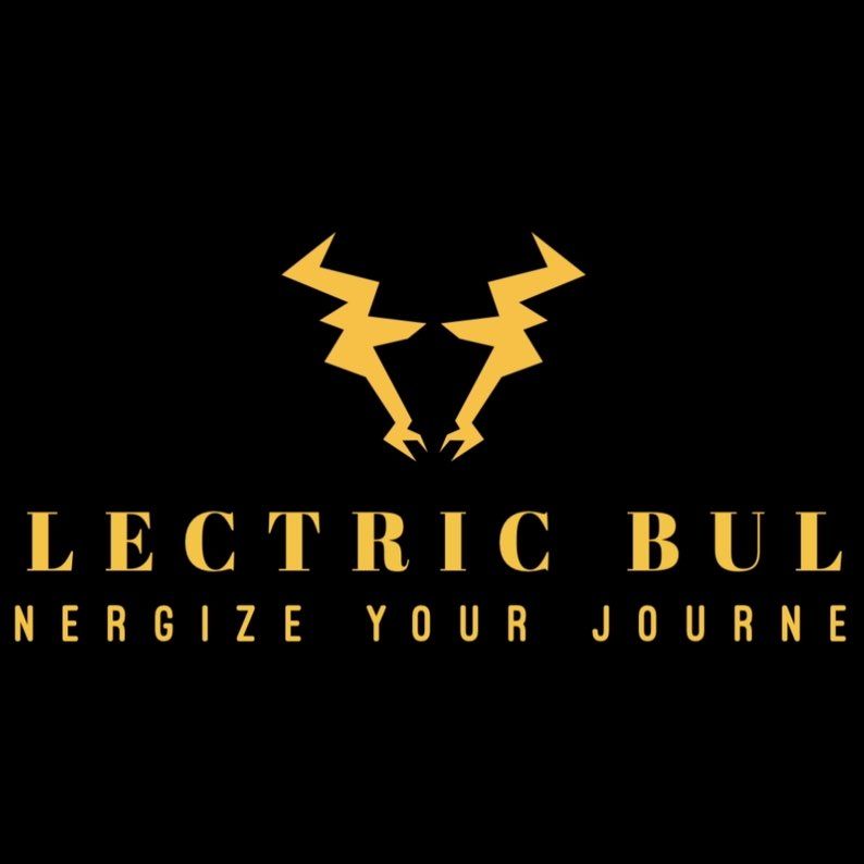Electric Bull LLC