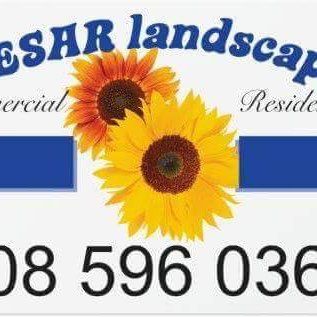 Cesar Landscaping