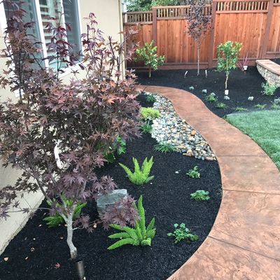 Avatar for Vision 20/20 Landscaping