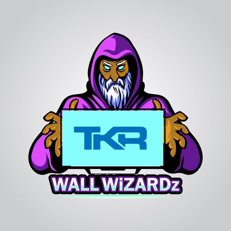 Wall Wizardz TKR